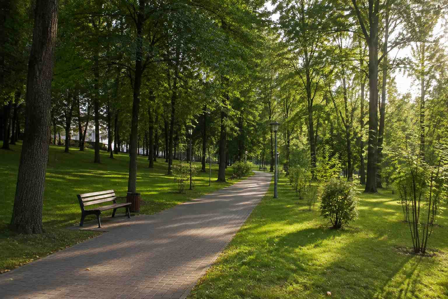 https://bratsk.blago-s.ru/storage/app/uploads/public/6a7/eef/ed2/6a7eefed2af22038960370.jpg